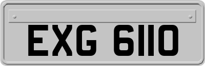 EXG6110