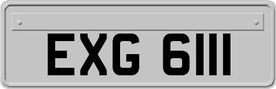 EXG6111