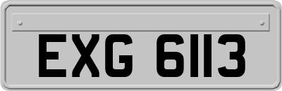 EXG6113