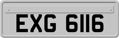 EXG6116