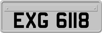 EXG6118