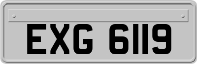 EXG6119