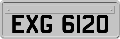 EXG6120