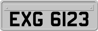 EXG6123