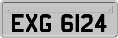 EXG6124