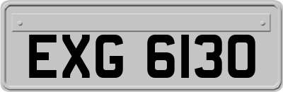 EXG6130