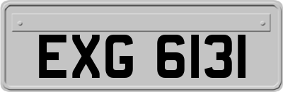 EXG6131