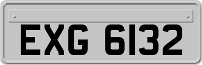 EXG6132
