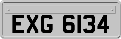 EXG6134