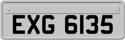 EXG6135