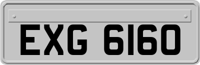 EXG6160