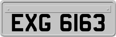 EXG6163