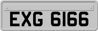 EXG6166