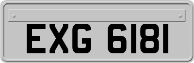 EXG6181