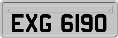EXG6190