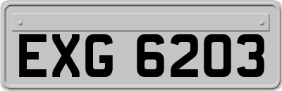 EXG6203