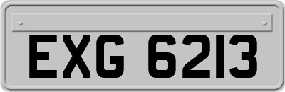 EXG6213
