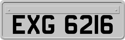 EXG6216