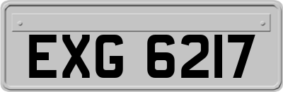 EXG6217
