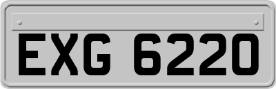 EXG6220