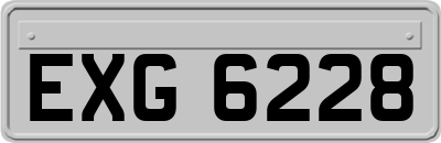 EXG6228