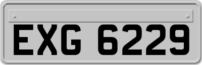 EXG6229