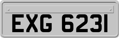EXG6231