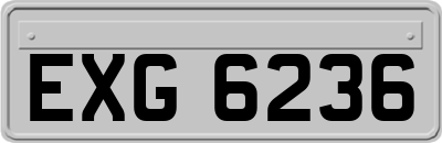 EXG6236
