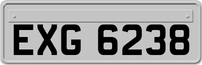 EXG6238