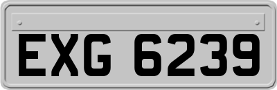 EXG6239