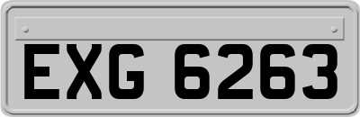 EXG6263