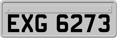 EXG6273