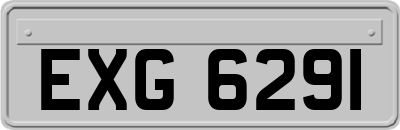 EXG6291