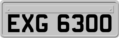 EXG6300