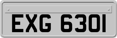 EXG6301