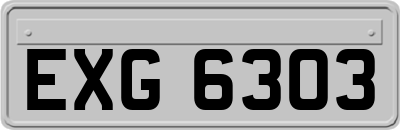 EXG6303