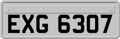 EXG6307