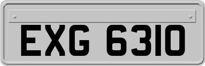 EXG6310