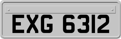 EXG6312