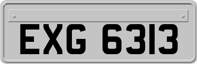 EXG6313
