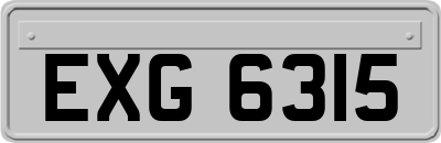 EXG6315