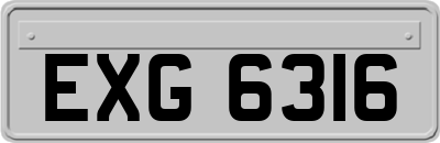 EXG6316