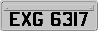 EXG6317