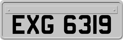 EXG6319