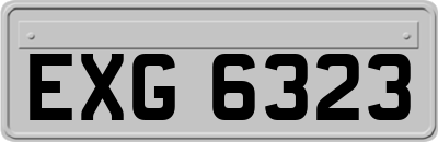 EXG6323