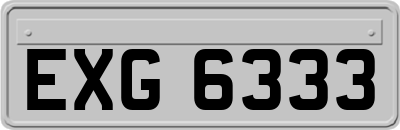 EXG6333
