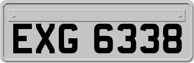 EXG6338