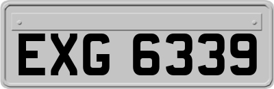 EXG6339