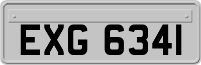 EXG6341