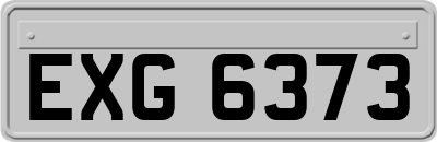 EXG6373